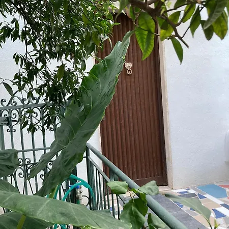Victoria's House In A With A Sea View, 200 M From A Bike Path Sanremo
